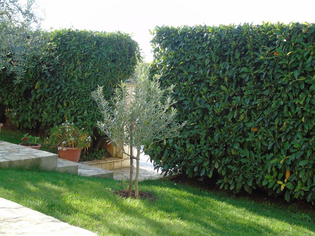 Apartment Karla بوريتش المظهر الخارجي الصورة